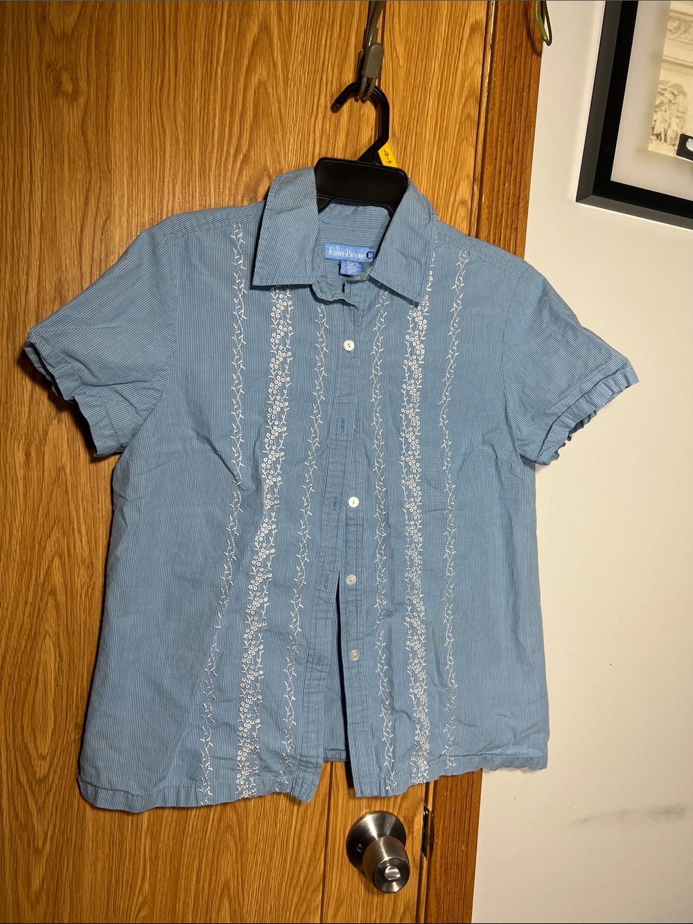 Evan Picone Sky Blue Short-Sleeve Embroidered Button-Down